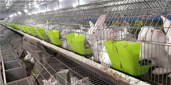 �Ĵ�������ֳ��˾�ļҺ���