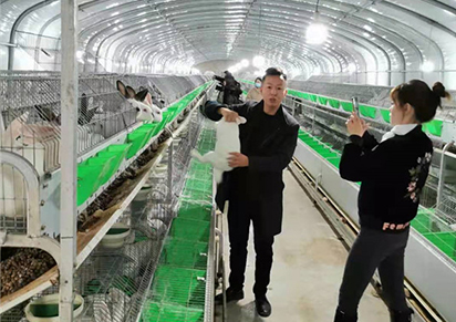 ��������ֳ��2021����ֳ��Щ������Ǯ׬?