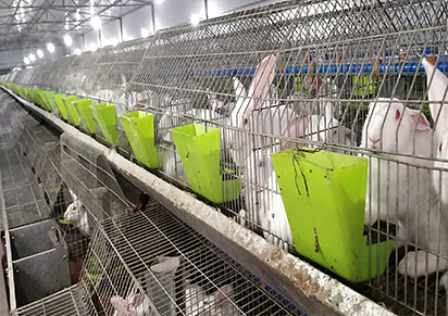 �غ�����������ֳ�ĳ�������