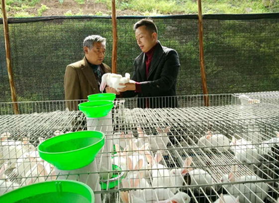 ������ֳ