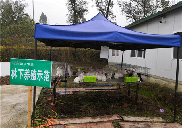 ����������ֳʾ��