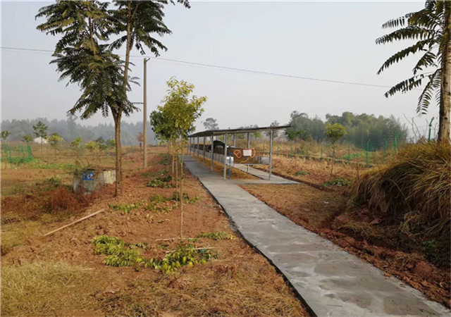 ����������ֳ