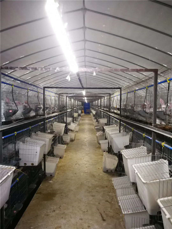 ����ʾ������