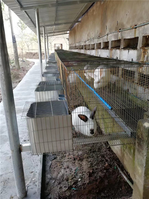 ����ʾ������