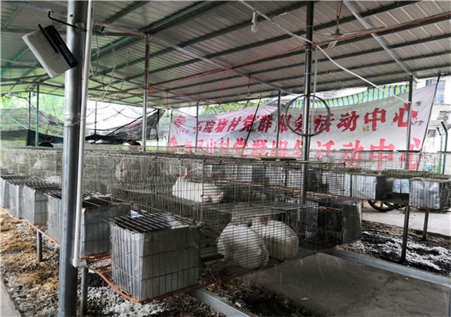 ����ʾ������