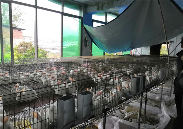 ����ʾ������