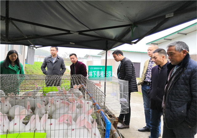 ����ʾ������