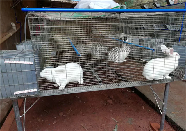 ����ʾ������