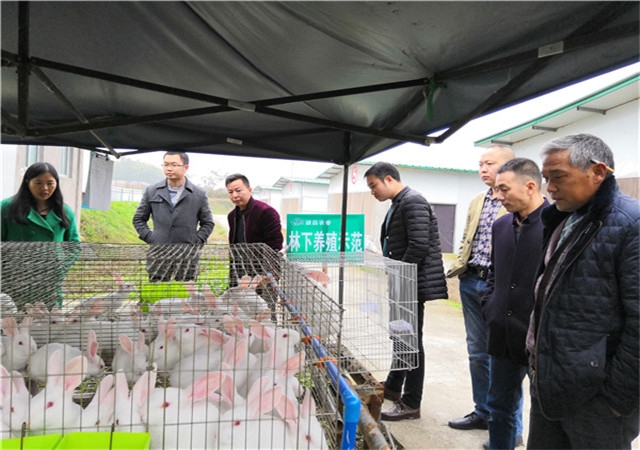 ����ʾ������